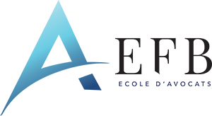 EFB_300
